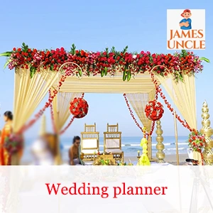 Wedding planner Mr. Bapi Sharma in Hazinagar